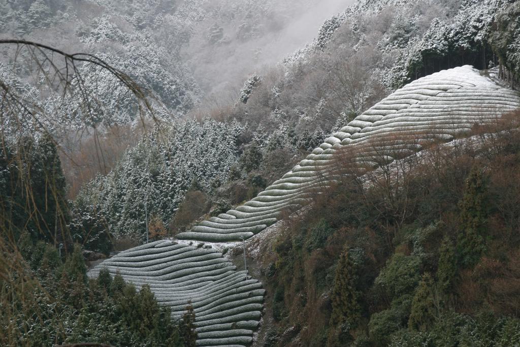 Готель Kyoto Wazukaso Kizugawa Екстер'єр фото