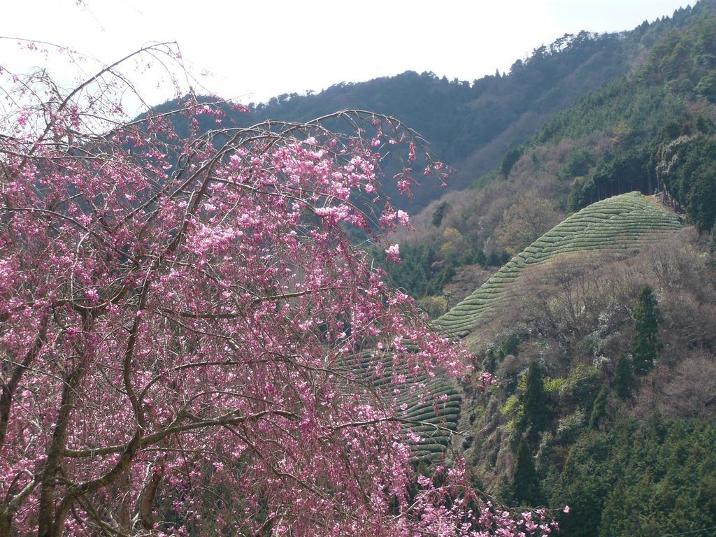 Готель Kyoto Wazukaso Kizugawa Екстер'єр фото