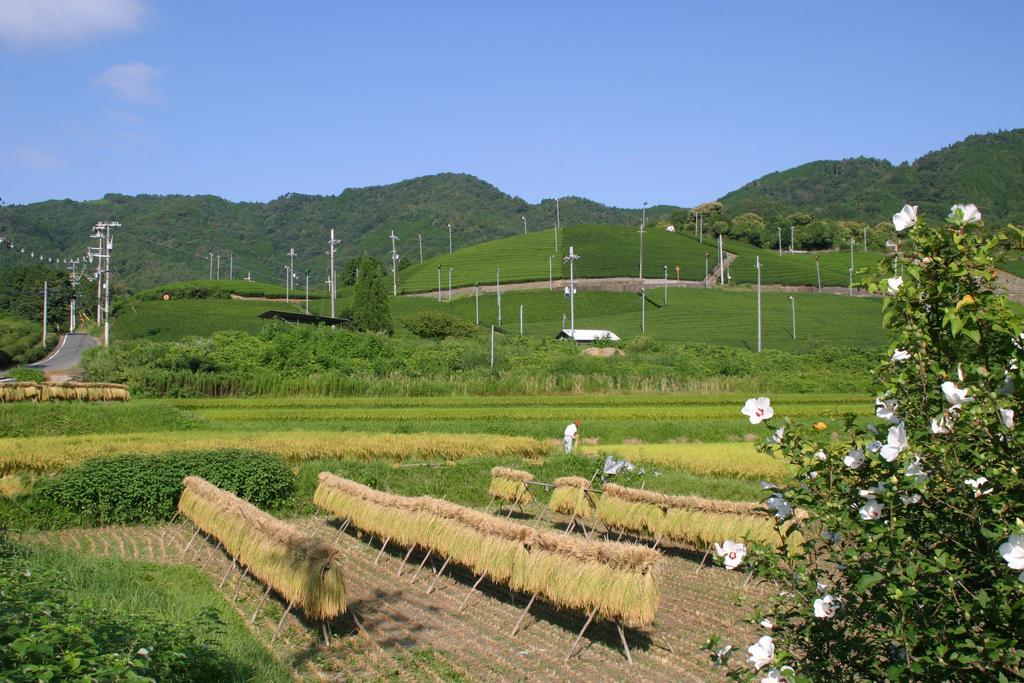 Готель Kyoto Wazukaso Kizugawa Екстер'єр фото