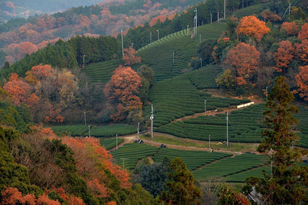 Готель Kyoto Wazukaso Kizugawa Екстер'єр фото